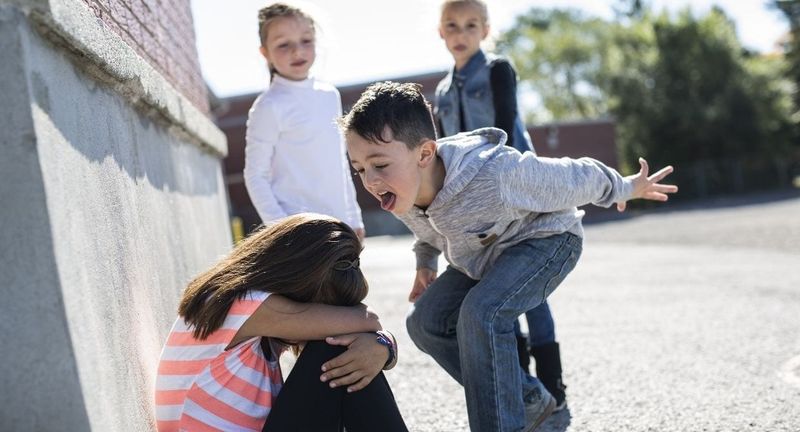 Minimizing or Ignoring Bullying
