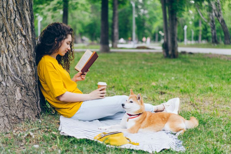 Outdoor Reading Retreat