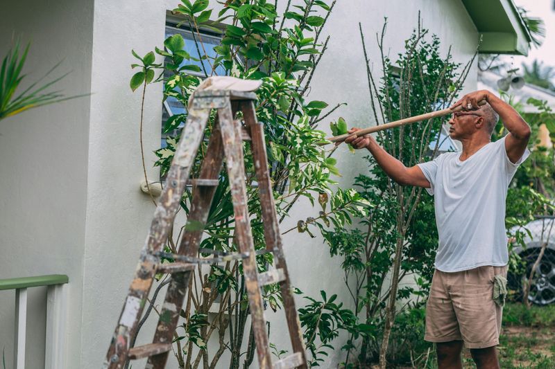 Tending a Garden