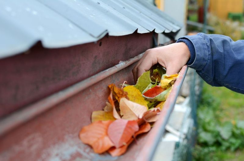 Clean Gutters Regularly