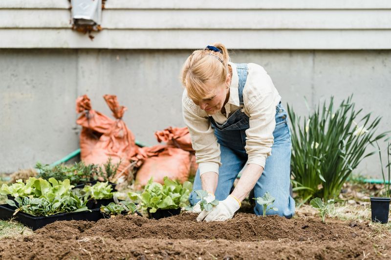 Personal Growth Accelerates
