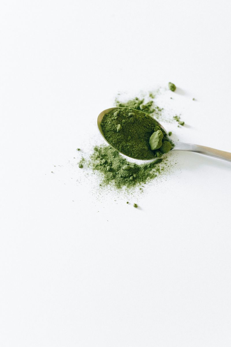 Green Tea Extract