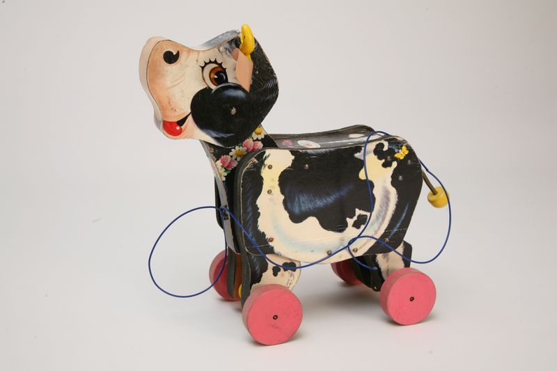 Pet Rock Precursor Toys