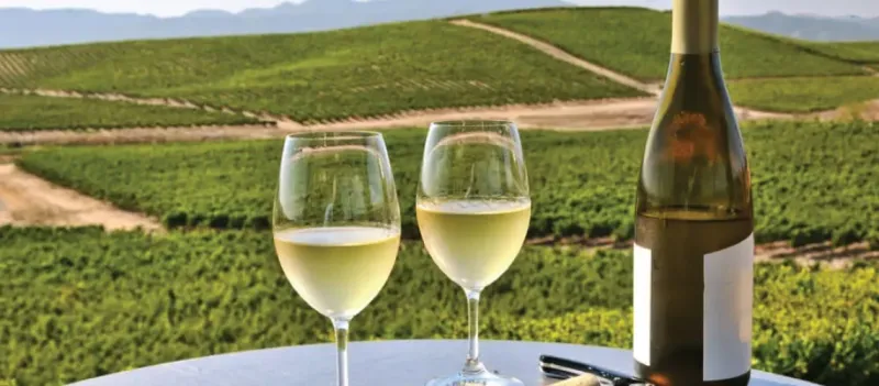 Wine Country Relaxation in Napa Valley