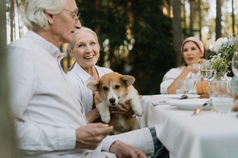 Increased Attachment to Pets or Objects