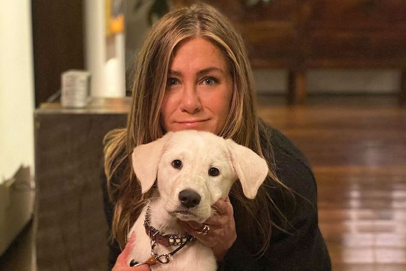 Jennifer Aniston Has a $4,000 Anti-Aging Water Filter for Her Dogs
