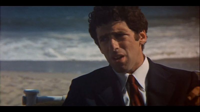 The Long Goodbye (1973)