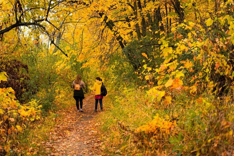 Take Walks Without Your Phone