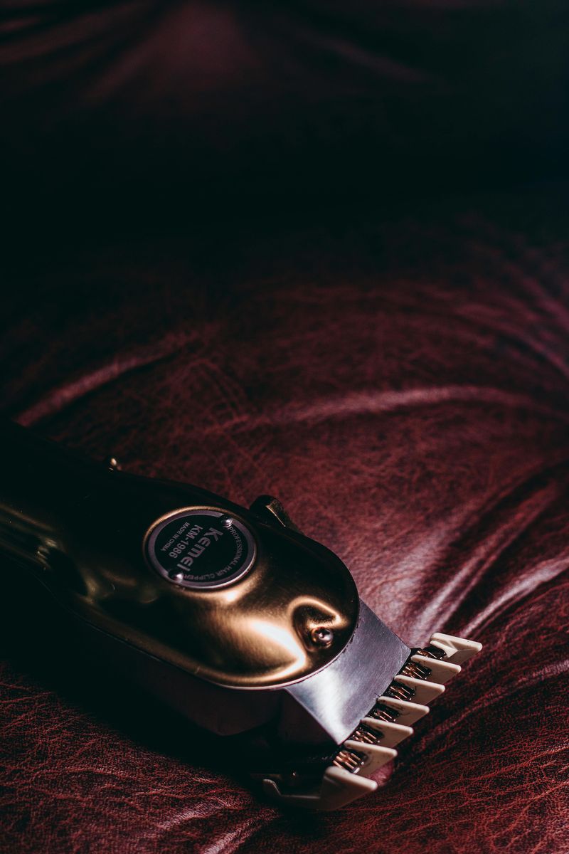 Electric Shaver