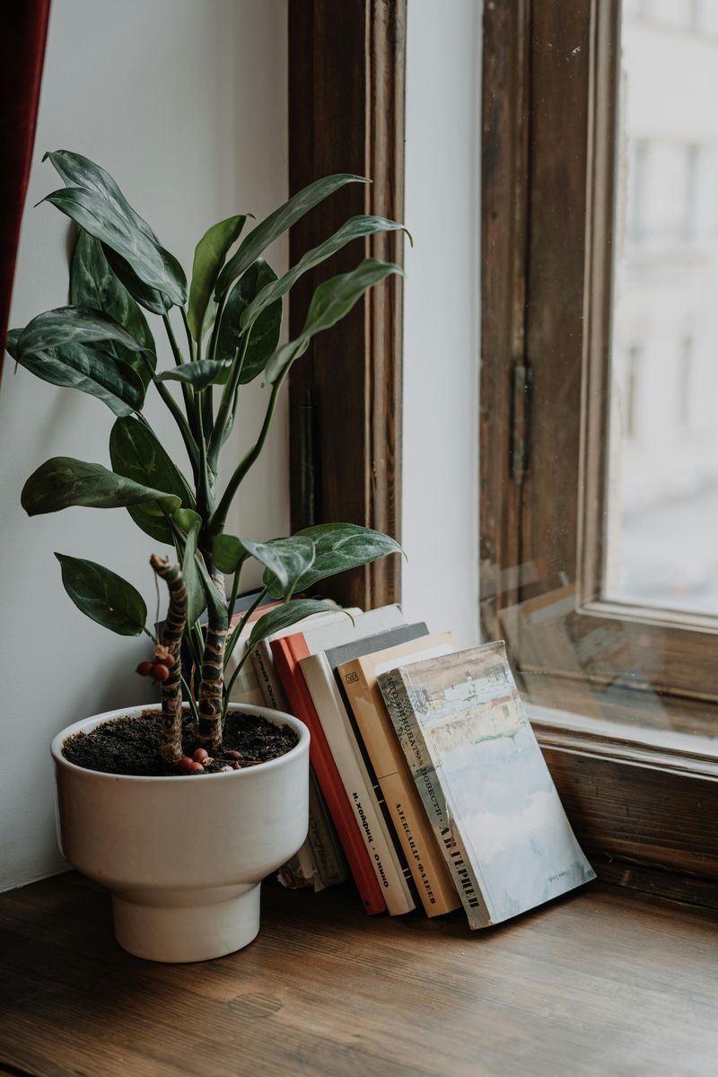 Plant Something Ridiculously Easy to Grow