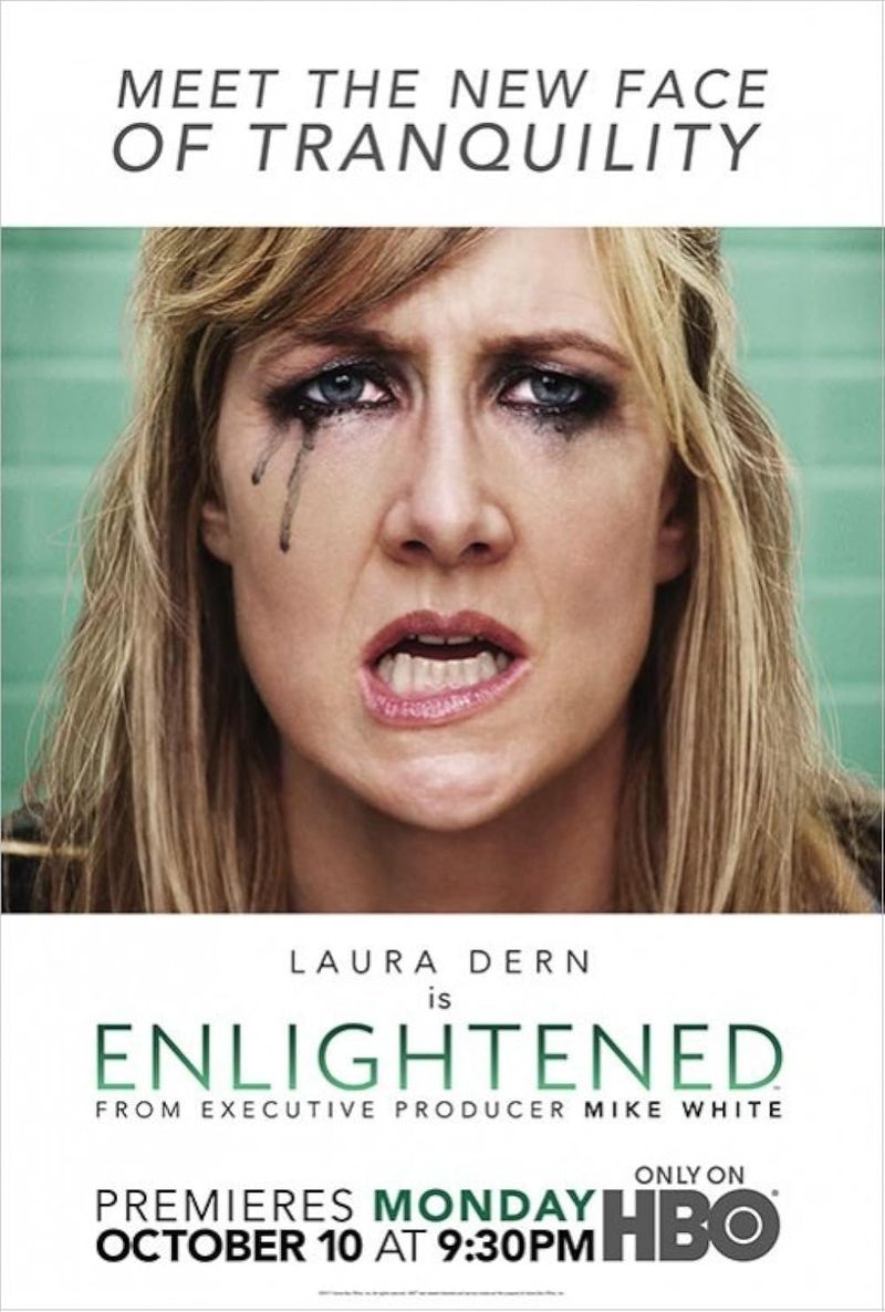 Enlightened (2011–2013)