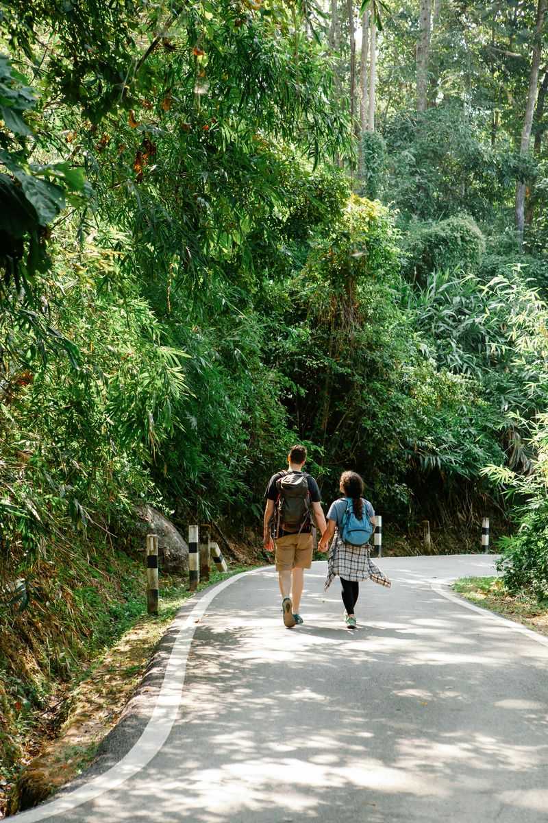 Mystery Road Trip Adventure