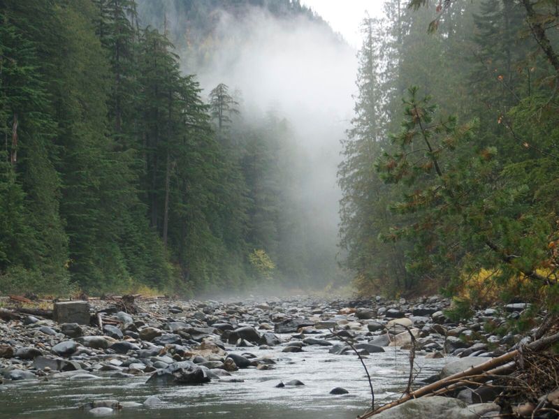 Northern Idaho (Panhandle Region)