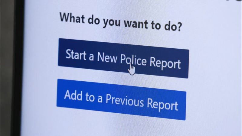 File a Police Report Immediately