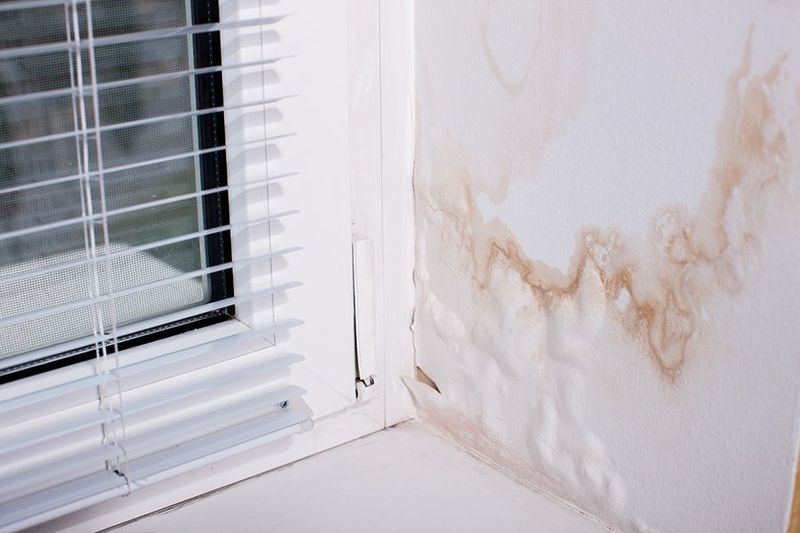 Signs of Water Damage or Mold