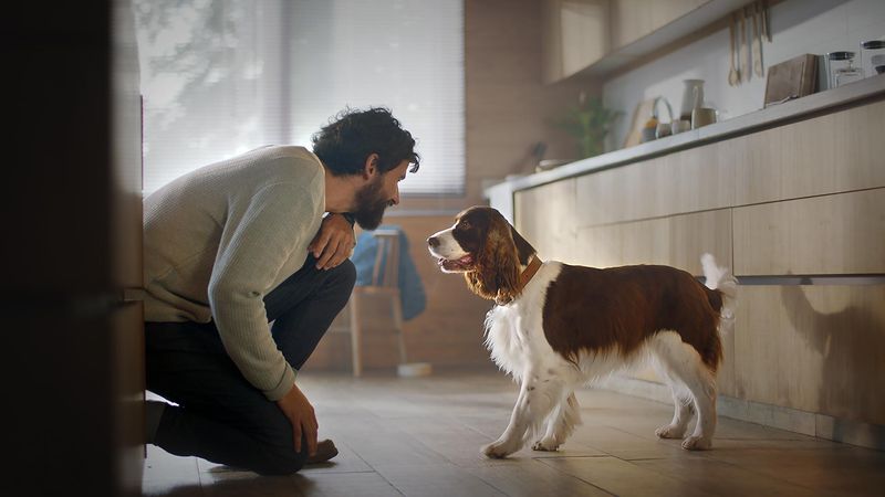 Pet Care Costs