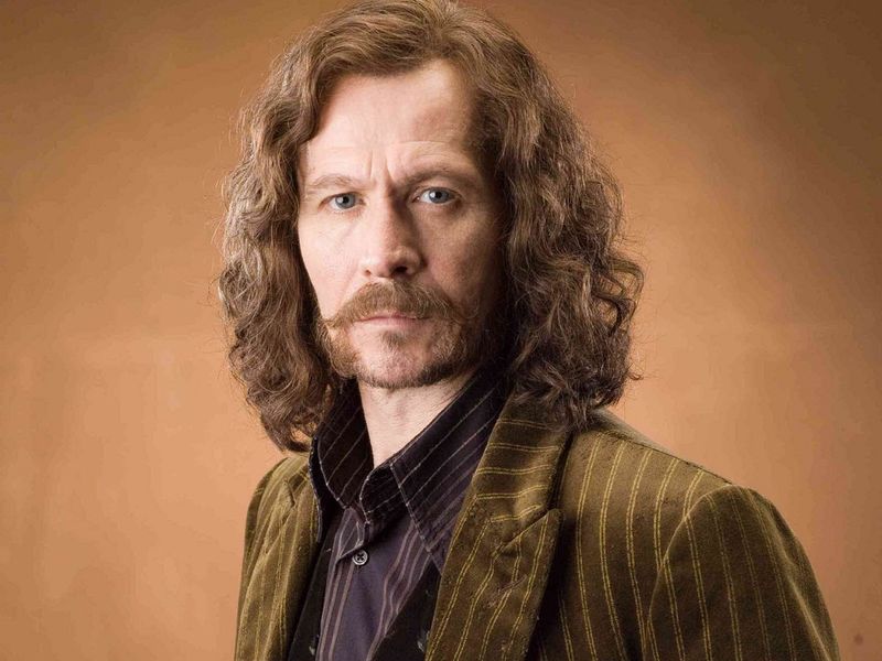 Sirius Black in Harry Potter and the Order of the Phoenix (2007)