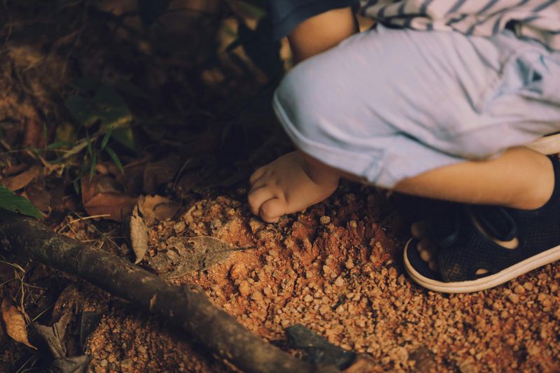 Making Mud Pies or Playing in the Dirt