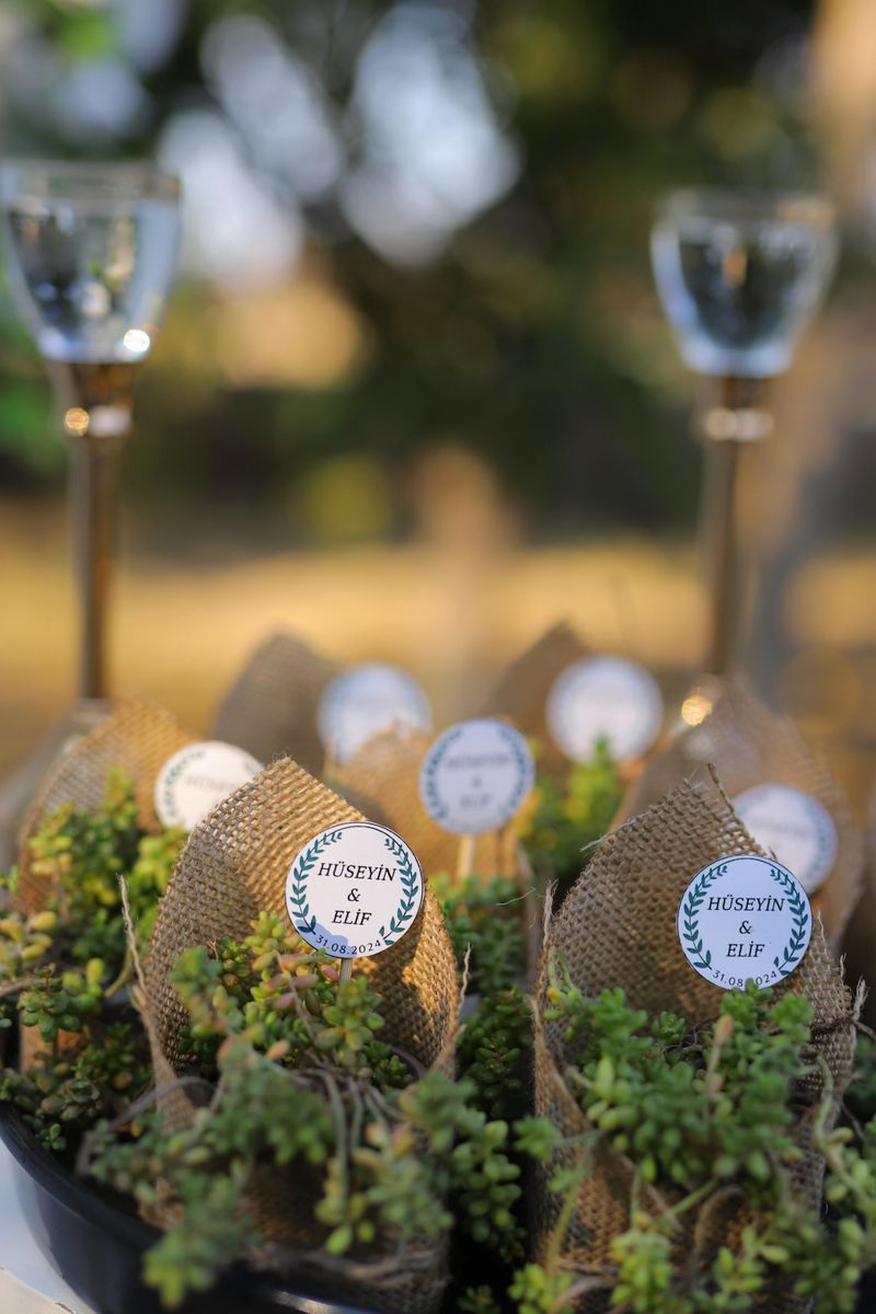 Eco-Conscious & Sustainable Weddings