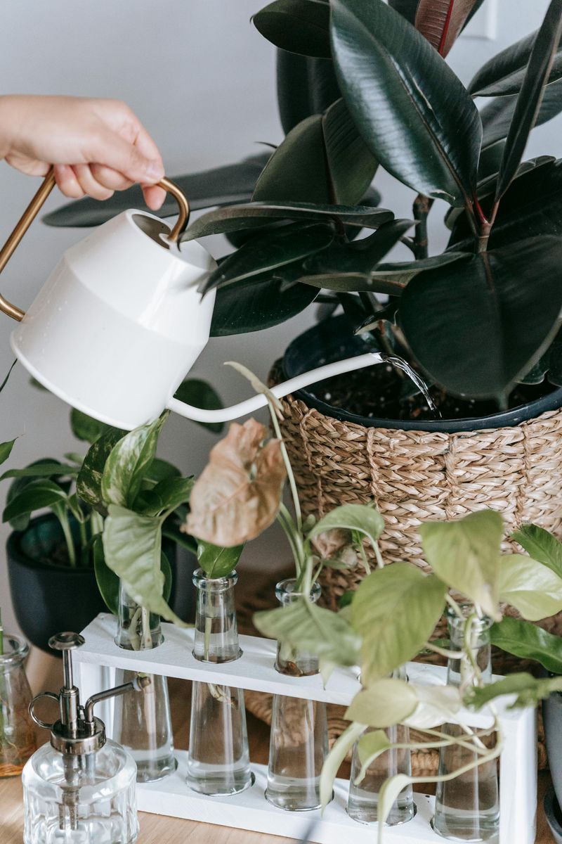 Becoming Plant Parents Instead of Actual Parents