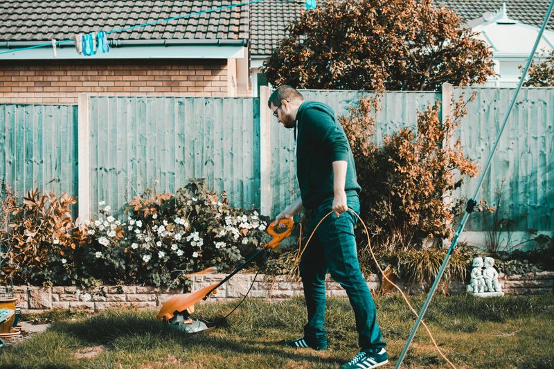 Lawn Mowing Mandatory