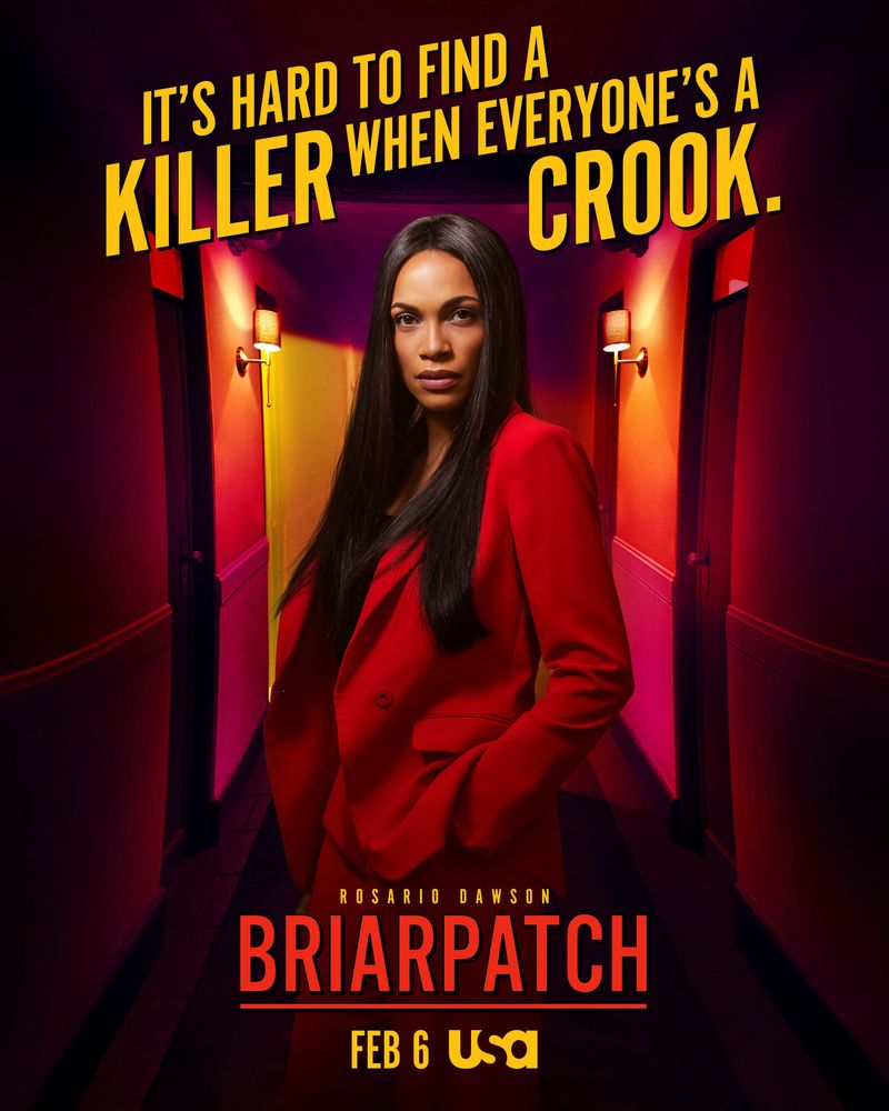 Briarpatch (USA Network, 2020)