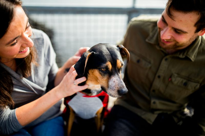 Dating a Dog Guy? Here Are 9 Reasons He's a Keeper
