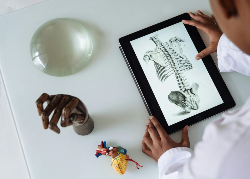 Medical Illustrator