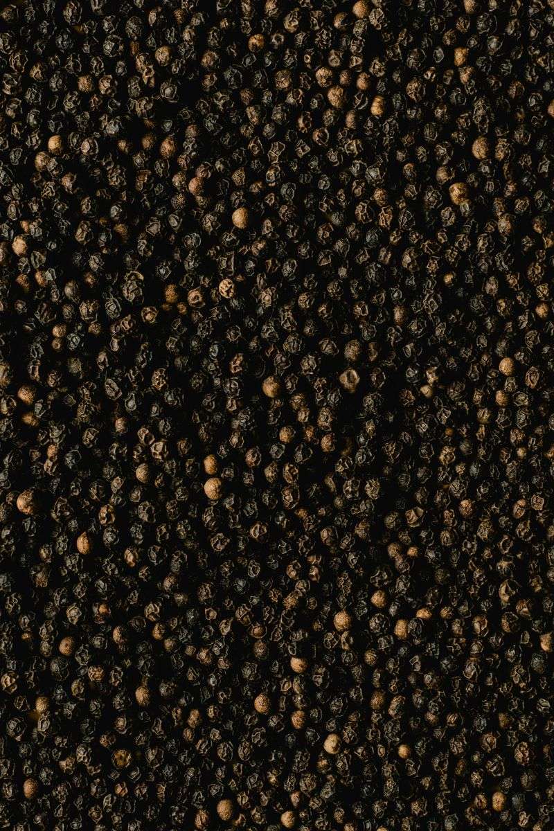 Black Pepper: The Spice That Launched a Thousand Ships