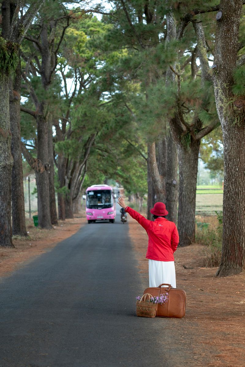 Public Transport as the Norm