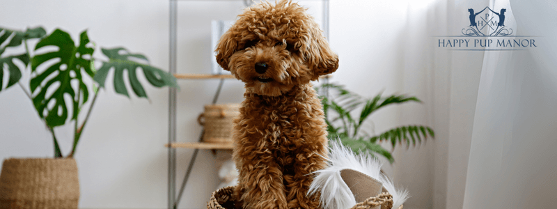 Low-volume TV voices