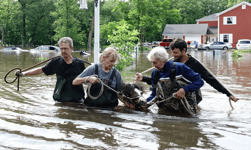 The People Behind Every Rescue