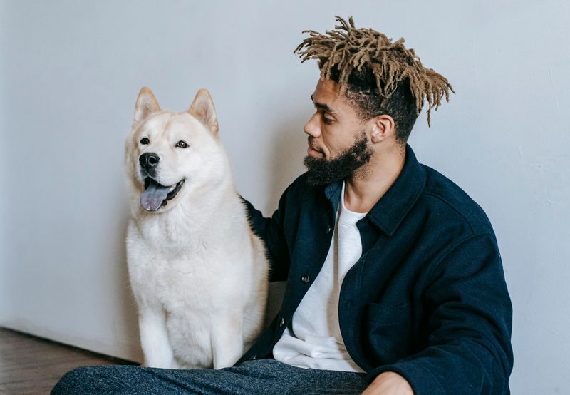 Akita: A Quiet Bond That Takes Trust