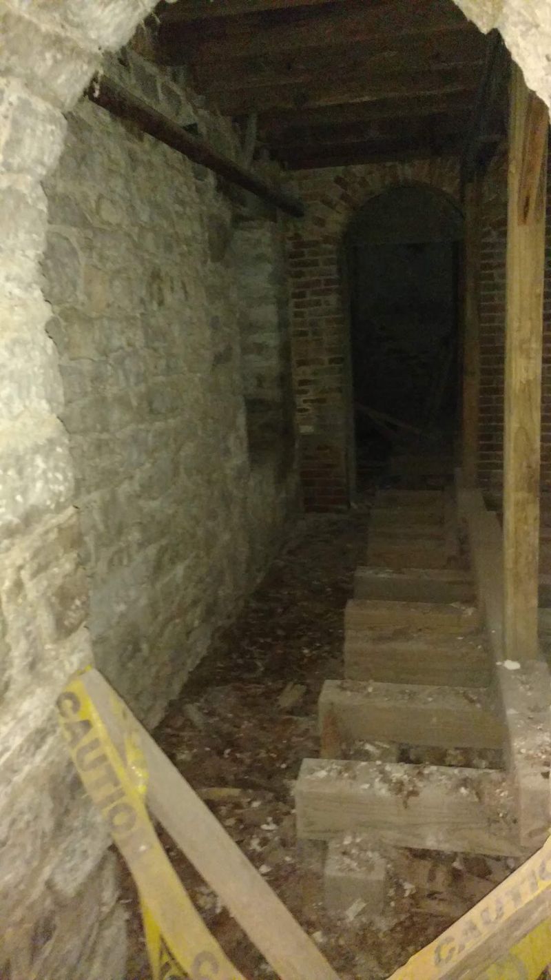 Down the Steps Into the Cellar