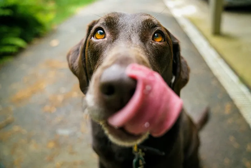 Food manners go both ways