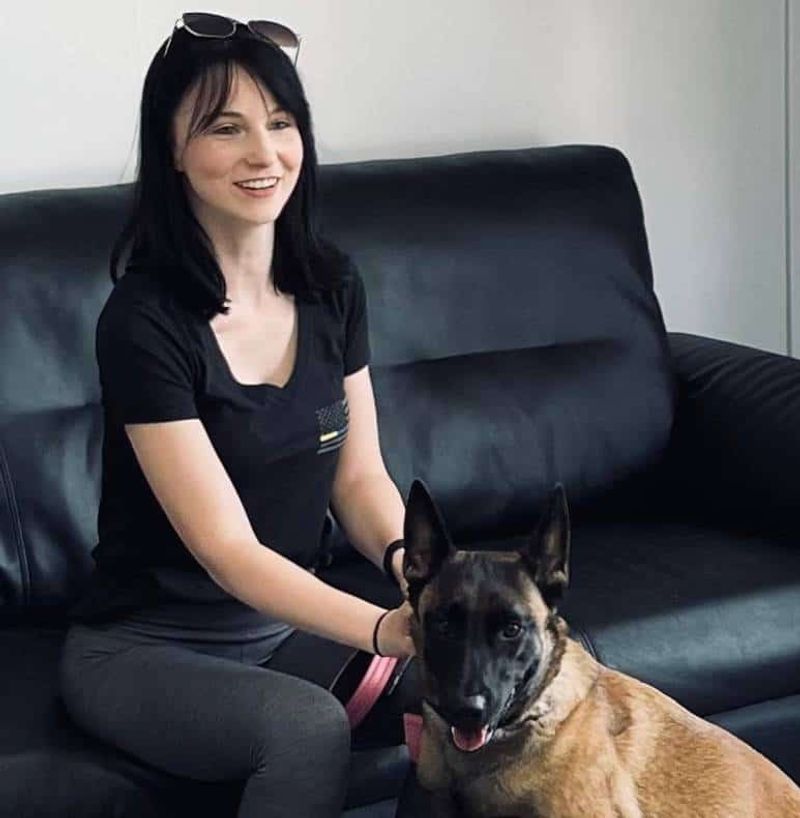 Your dog may dislike the car for reasons that are easier to fix than you think 3 Anxiety from previous bad experiences