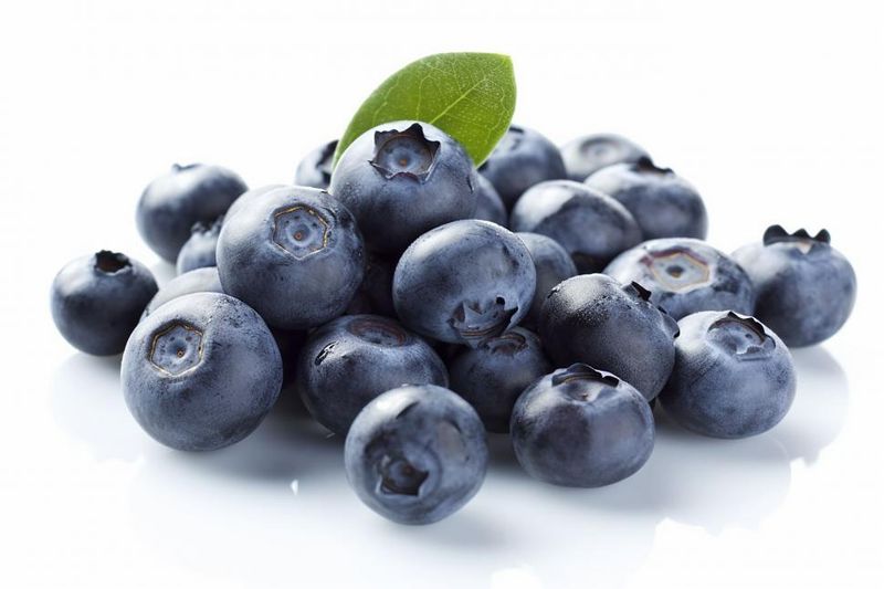 12 healthier snacks that dogs love and experts recommend 4 Blueberries