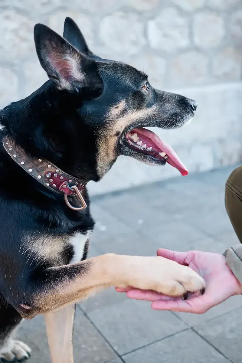 Unpredictable greetings