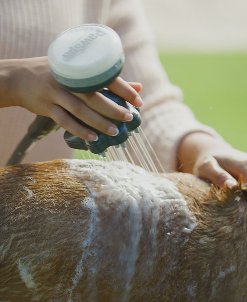 PawSpa Massage Roller