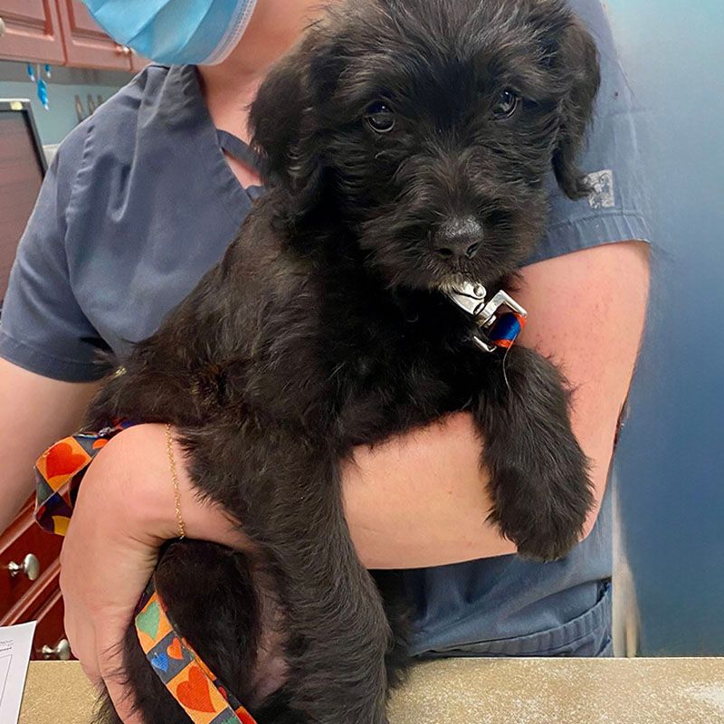 Health checks often included