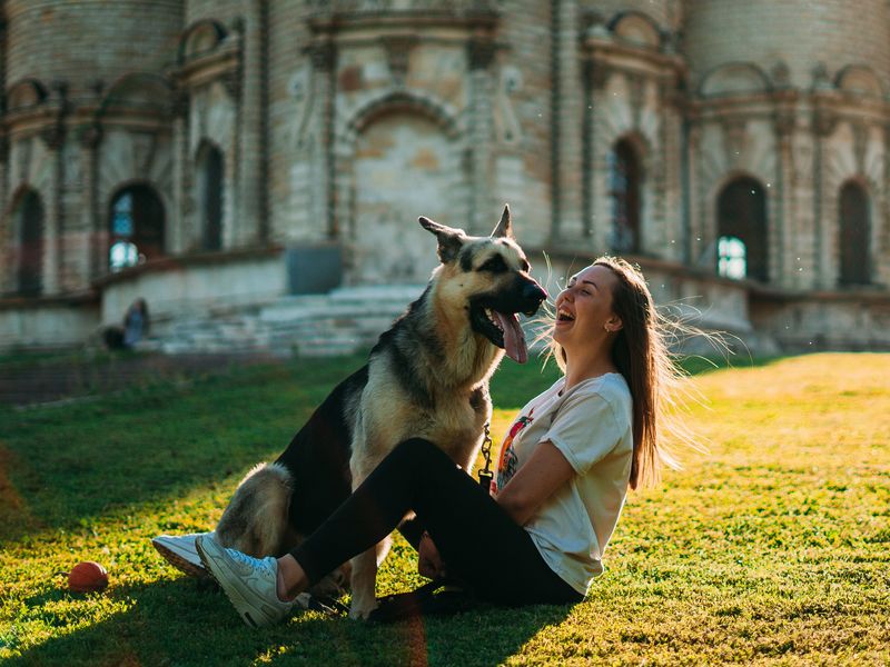 11 dog breeds that form powerful human bonds - plus 3 that may be happier around fellow dogs 4 German Shepherd