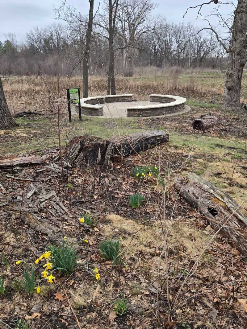 Skunk Cabbage, Trillium, and Spring's First Show