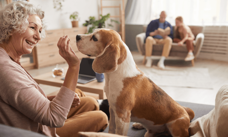 If your dog does these 10 things, you've earned something special 3 Follows you from room to room