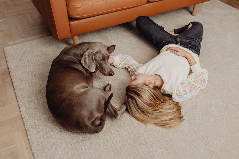 18 dog breeds that become emotionally attached faster than most owners expect - plus 3 that never seem to want personal space 24 Weimaraner (never wants personal space)