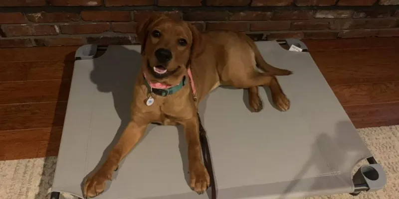 moving in slow motion