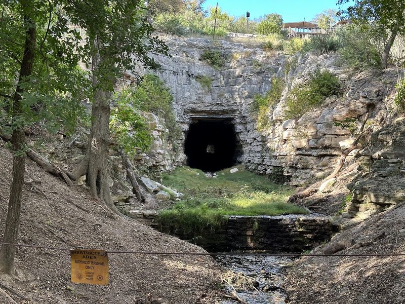 From Railroad Line to Bat Roost