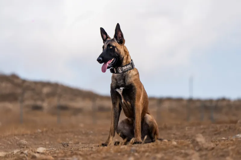 Waits for routines before they officially start