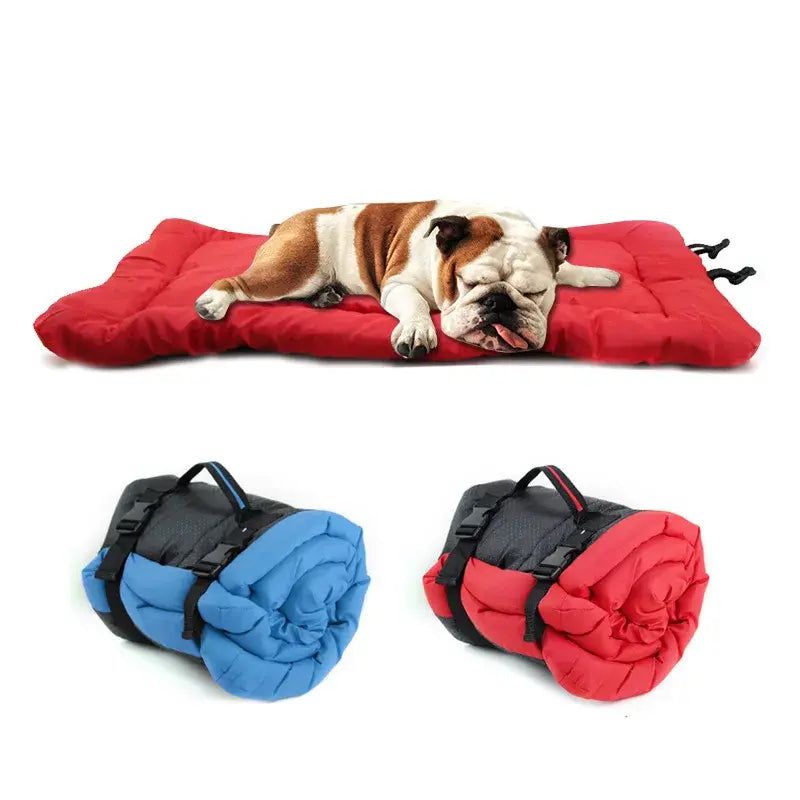 10 must-pack dog travel essentials that make every trip smoother 10 Blanket or travel bed