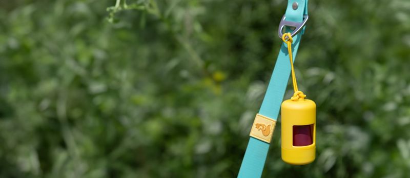 10 must-pack dog travel essentials that make every trip smoother 8 Waste bags