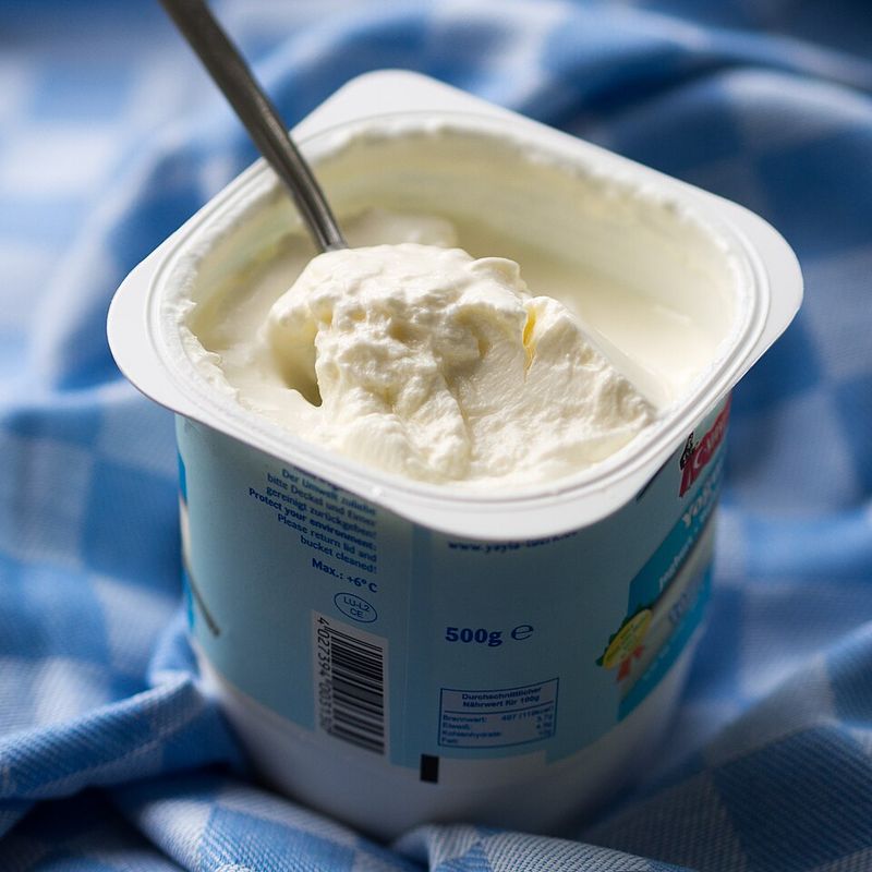 12 healthier snacks that dogs love and experts recommend 11 Plain Greek yogurt